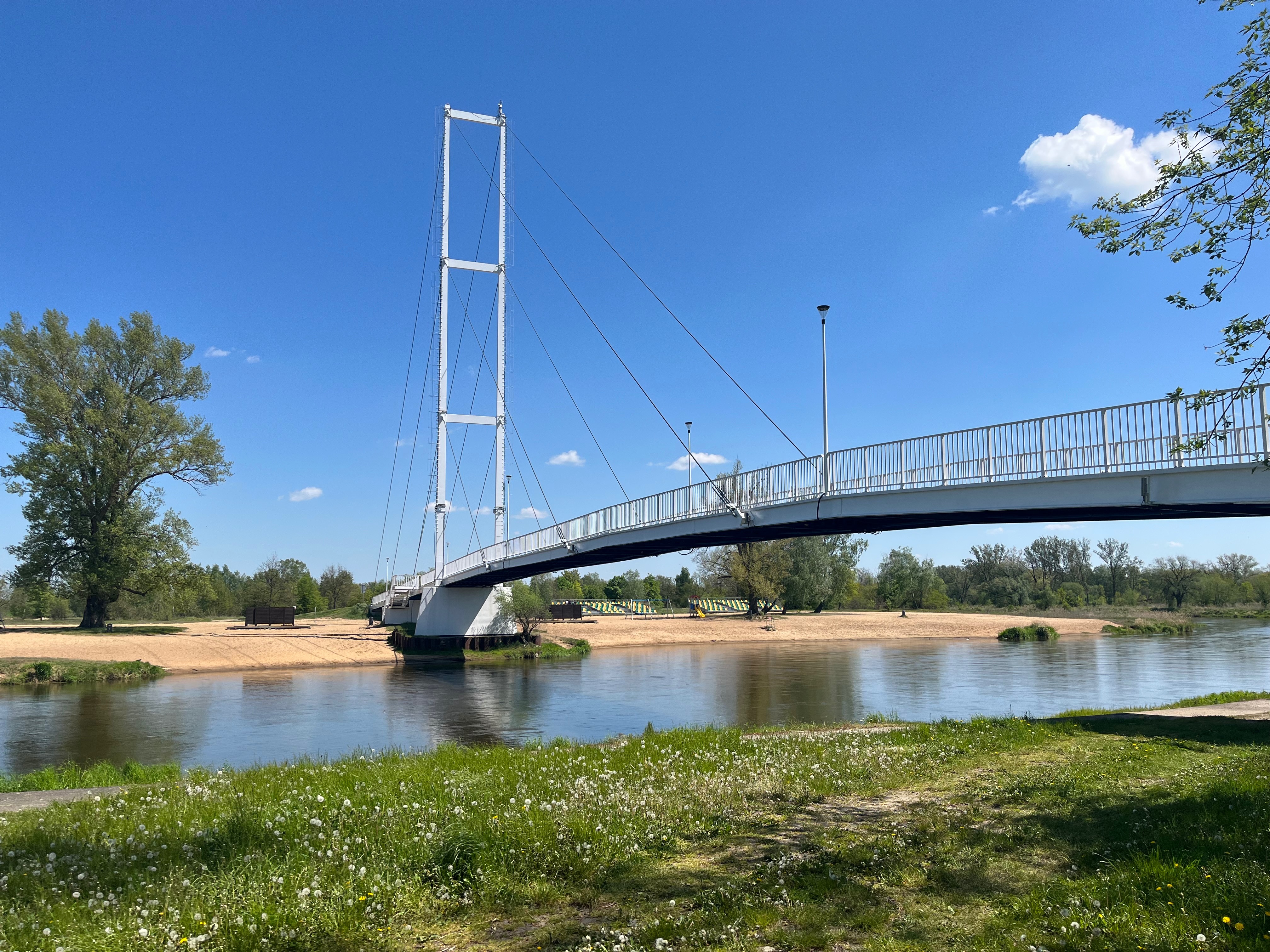 SIRADIA — nasze projekty